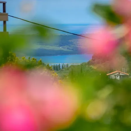 Rm & Studio Deluxe * Izola